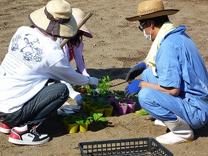 門川校で農業がありました。_c0200506_143635.jpg