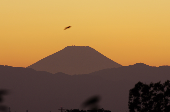 b0151409_231445.jpg