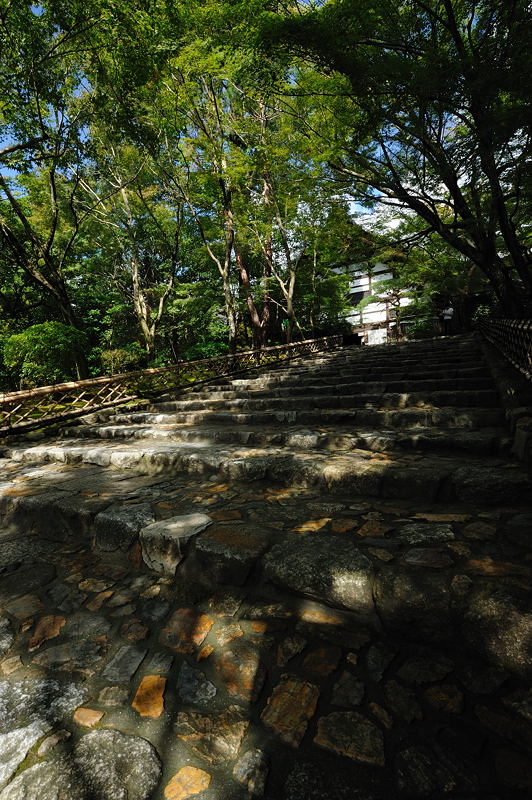 秋の気配漂う龍安寺　其の一_f0032011_194461.jpg