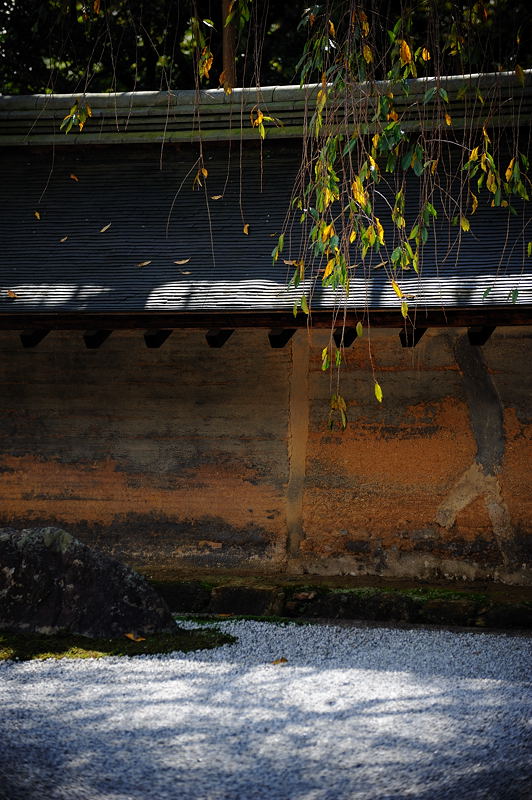 秋の気配漂う龍安寺　其の一_f0032011_1953237.jpg