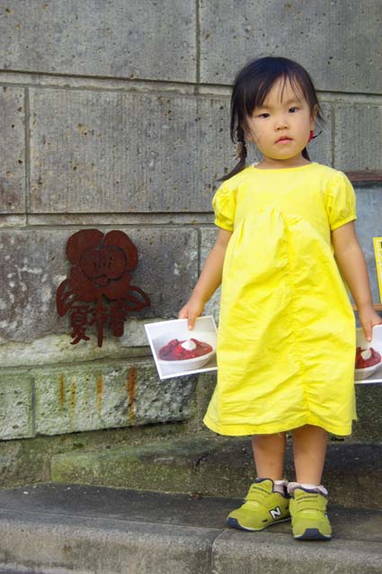 夏椿*井山三希子さんの個展_a0166313_102236100.jpg