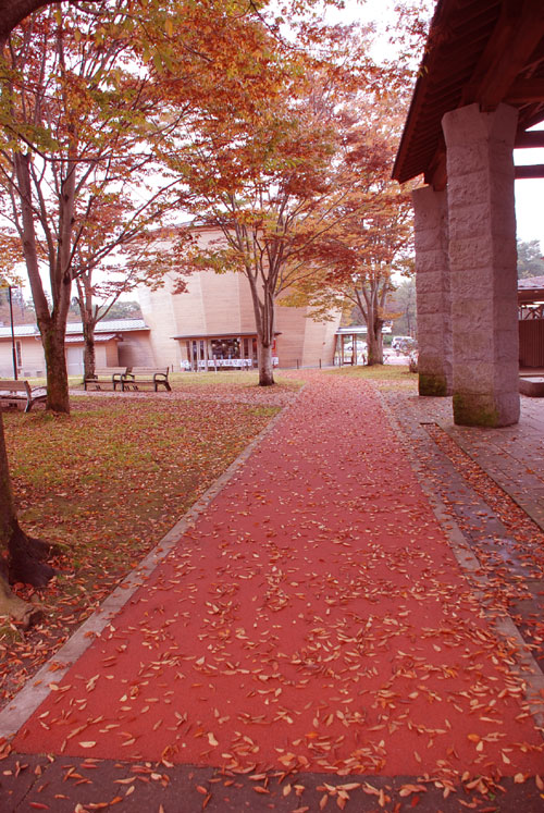 c0164514_2226856.jpg