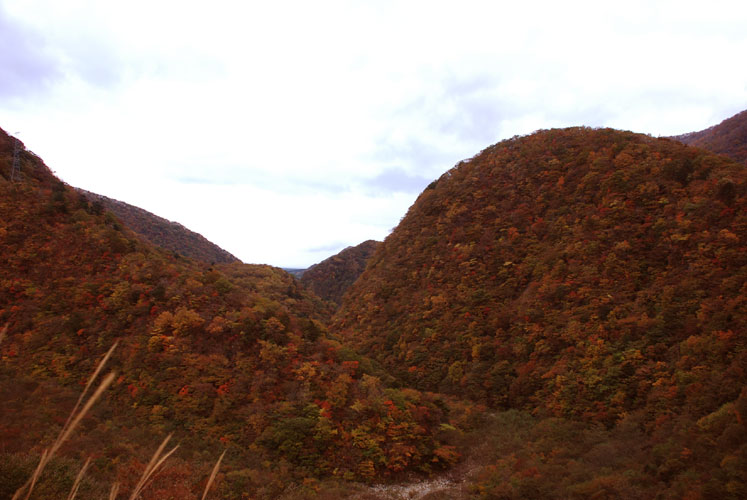 c0164514_224885.jpg