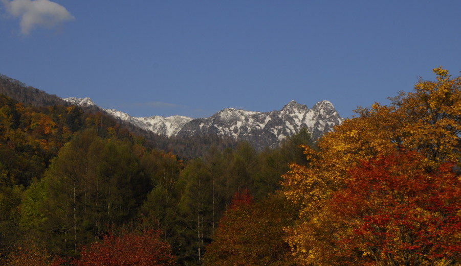 2011年10月　錦秋をもとめて（芦別岳、支笏湖、風不死岳）_c0219616_1750377.jpg