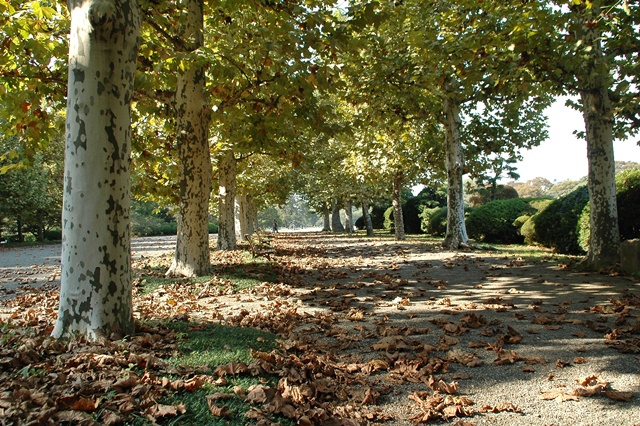 f0012718_14223417.jpg