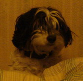 c0124619_22362499.jpg