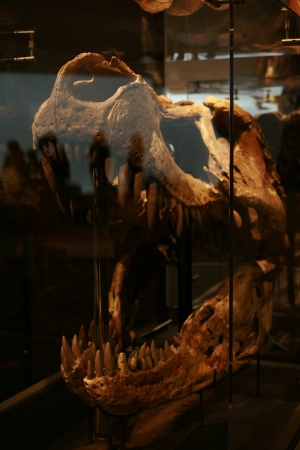 f0097620_095851.jpg