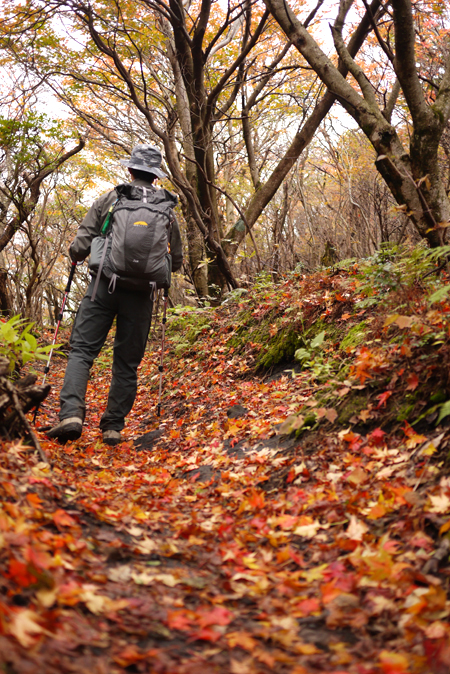 紅葉登山2011　大船山_e0200926_823217.jpg