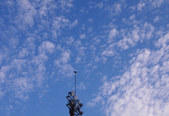 f0214527_1101639.jpg