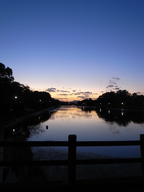 f0176239_1641425.jpg