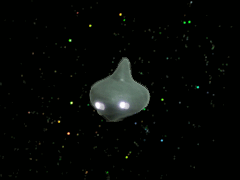 e0005548_0263981.gif
