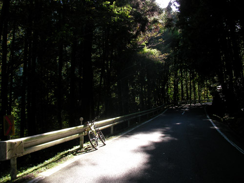 d0144550_2157308.jpg
