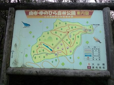 由布　ゆのひら森林公園　がイイね！_a0202251_2055074.jpg