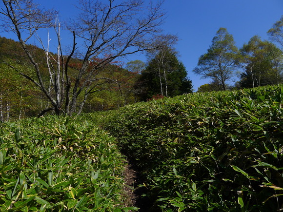 f0209354_5301122.jpg