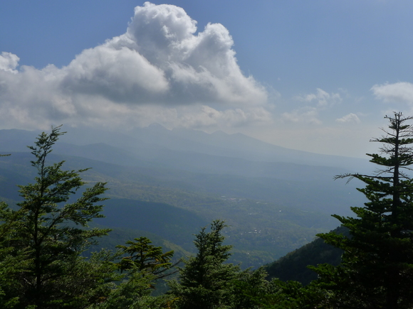 f0209354_5341529.jpg
