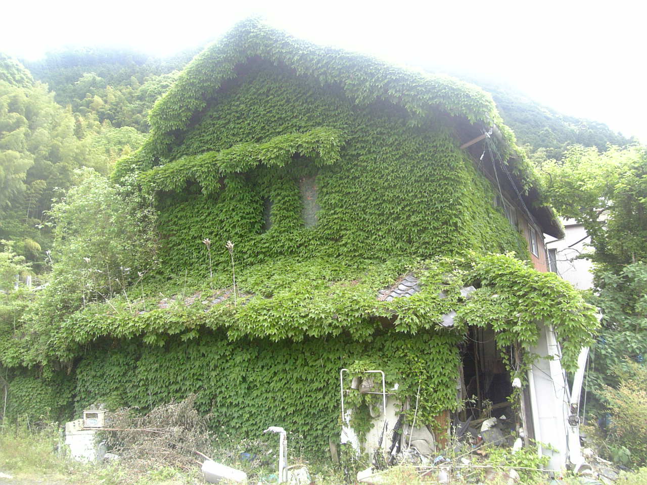 直往邁進 １０ ２６ シンプルいずベスト