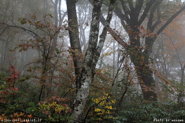 f0147858_1258255.jpg