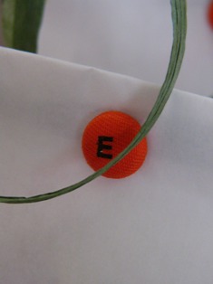 f0142668_34117.jpg