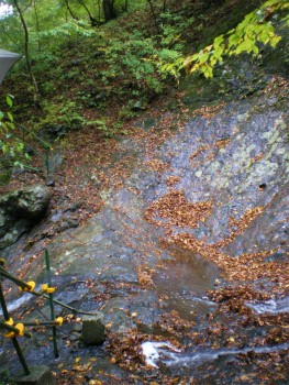 b0056570_0205449.jpg