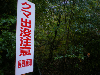 b0056570_020795.jpg