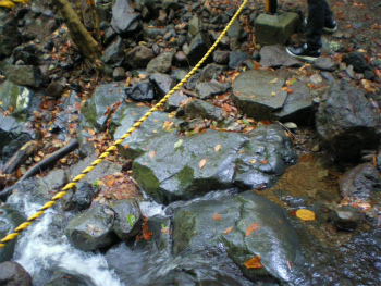 b0056570_0253612.jpg