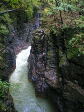 b0056570_0285428.jpg