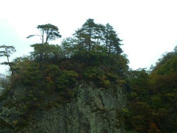 b0056570_037577.jpg