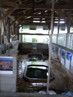 c0192970_87139.jpg