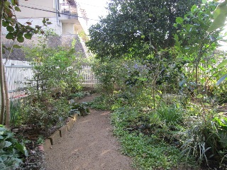 b0214473_2081124.jpg