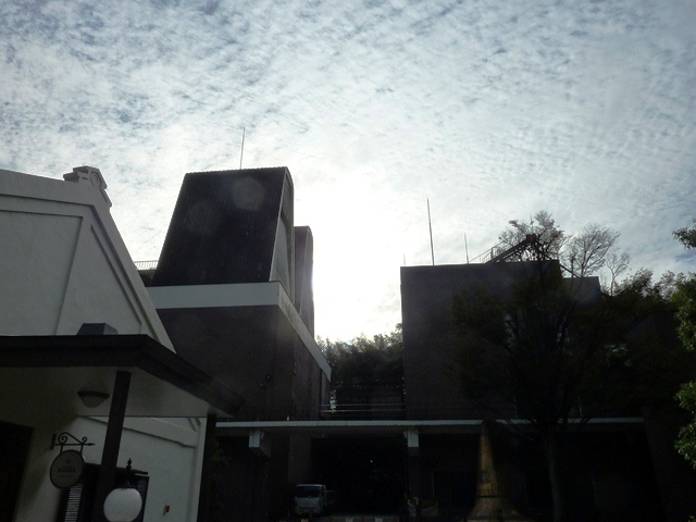 f0227576_23093.jpg
