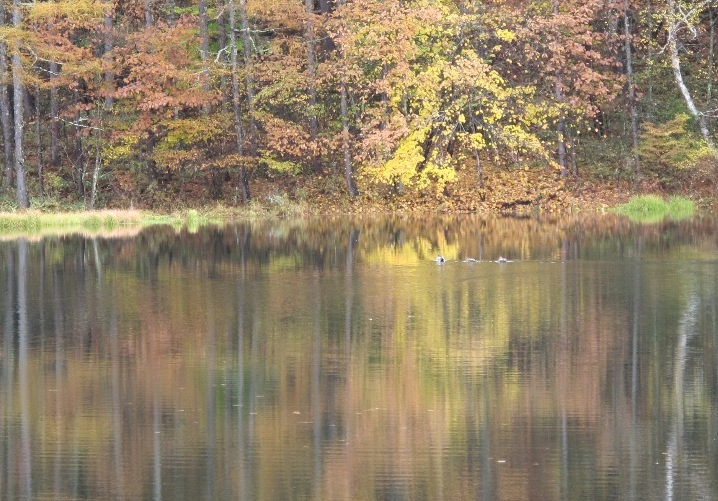 a0091680_14571572.jpg