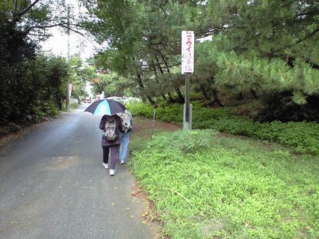 宮地嶽ブラブラ_b0005281_21593635.jpg