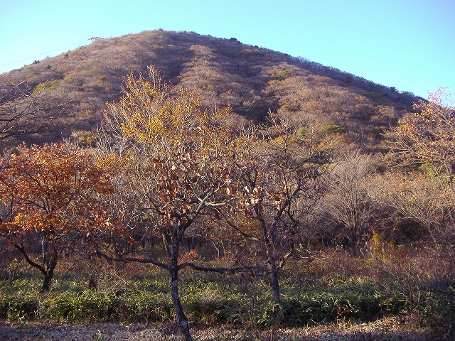 c0212083_2313403.jpg