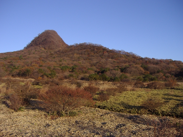 c0212083_2313413.jpg