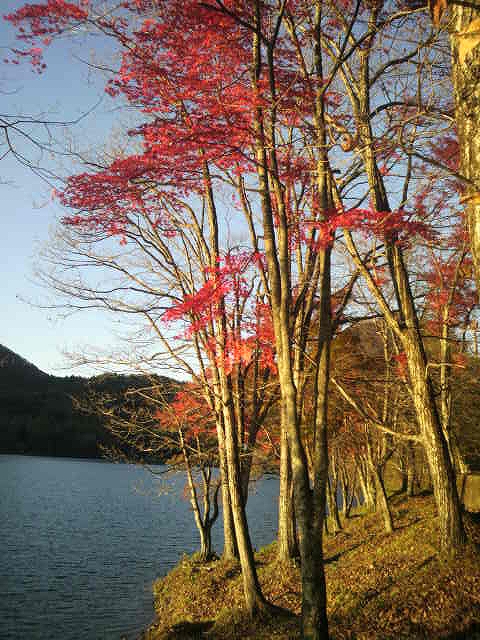 c0212083_23161146.jpg