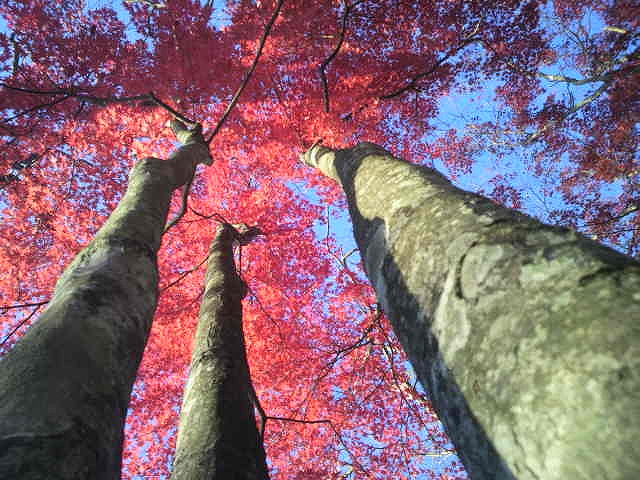 c0212083_23164390.jpg