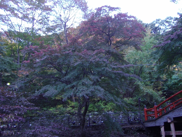 c0212083_2395981.jpg