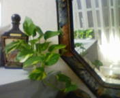 c0143684_3719.jpg