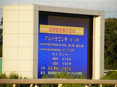 a0161290_333060.jpg