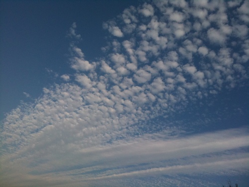 d0025894_083844.jpg