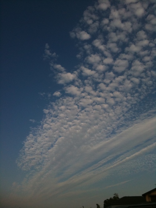 d0025894_09525.jpg