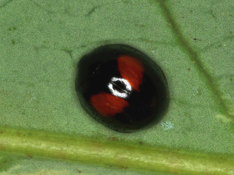 f0204094_2292841.jpg