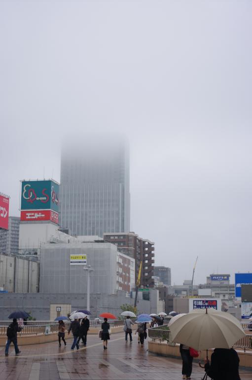 d0069495_7315537.jpg