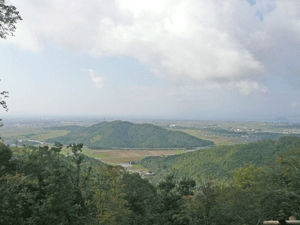 c0093196_10582266.gif
