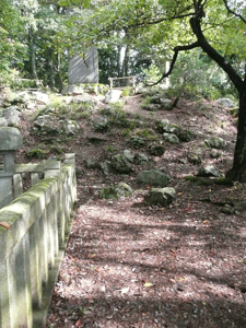 c0093196_11124244.gif