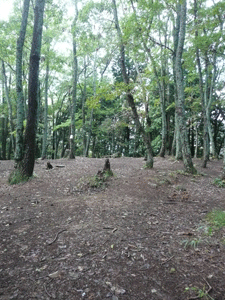 c0093196_1113231.gif
