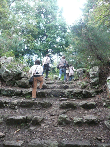 c0093196_115515.gif