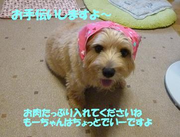 a0154801_8161719.jpg