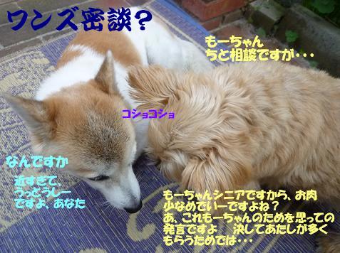 a0154801_8164355.jpg