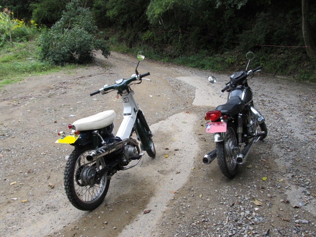 スーパーカブで林道に行こう。 : モーターヘッド サイクルショップ